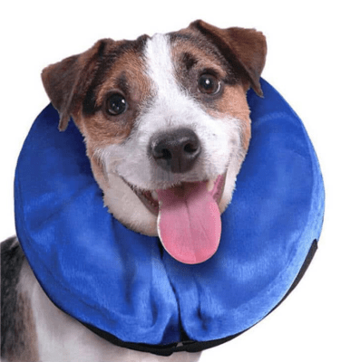 mp collar de protección inflable