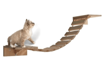 mp puente de madera gato