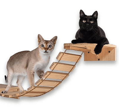 mp puente de madera gato