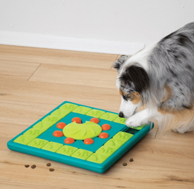 NINAO multipuzzle n4