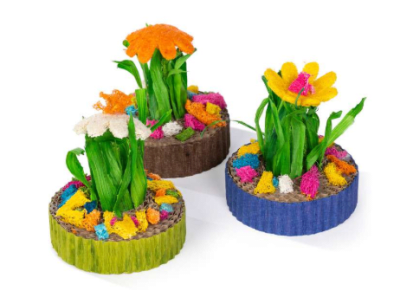 ph jardin mini suculentas