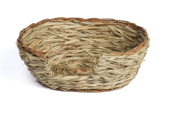 ph nido de pasto ovalado