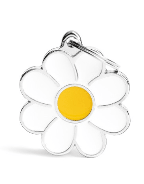 placa my family daisy