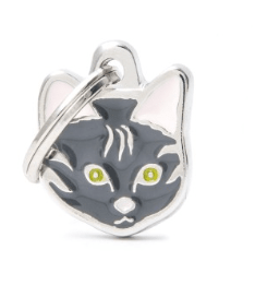 placa my family gato