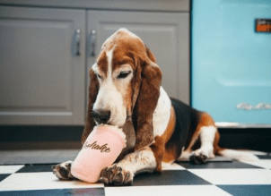 play classic milkshake