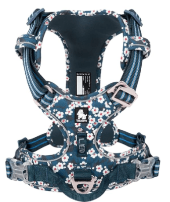 truelove arnes floral saxony blue