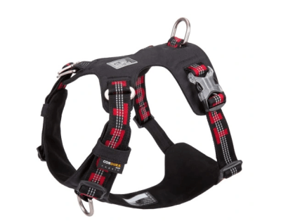 truelove arnes light negro