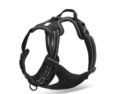 truelove arnes outdoor negro