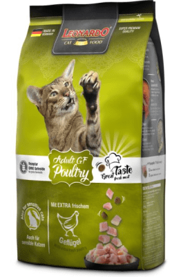 leonardo adulto GF pollo