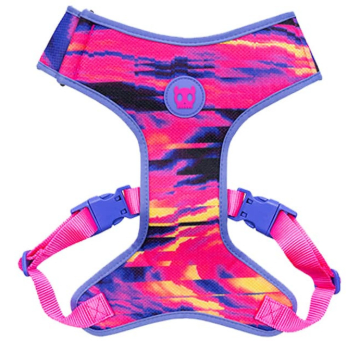 zeedog glitch error 500 arnes mesh