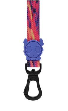 zeedog glitch error 500 leash