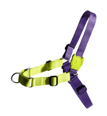 zeedog lemonade arnes soft walk