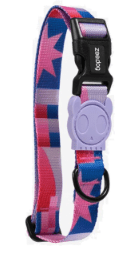 zeedog noon collar