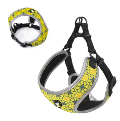 wonder arnes variedades