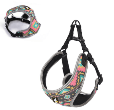 wonder arnes variedades