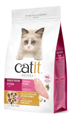 cat it recipes kitten
