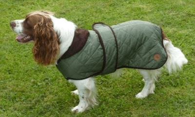 capa perro country pet