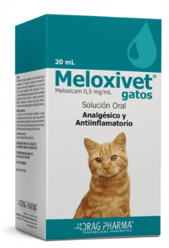 dp meloxivet GATO