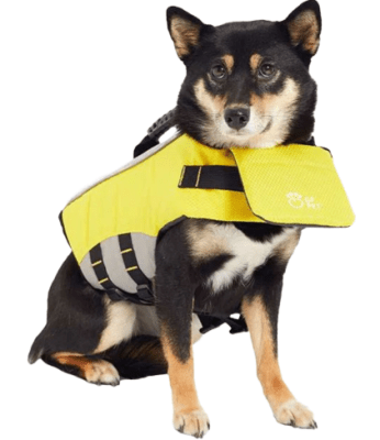 gfpet salvavidas