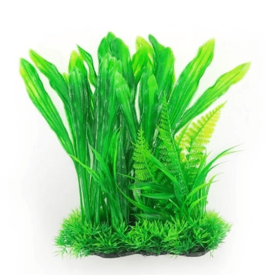 mp deco acua plantas small