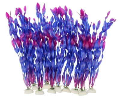 mp planta acua mora/ver