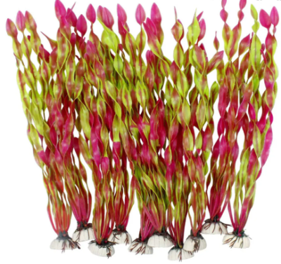 mp planta acua mora/ver