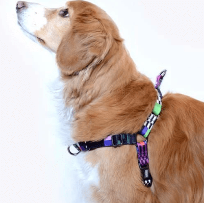 wauke arnes nonpull glitch