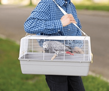 prevue jaula transportadora