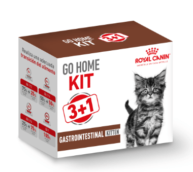 royal canin gastrointestinal kitten latas KIT
