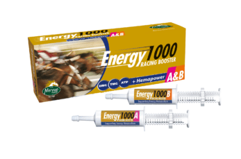 mervue energy 1000 boster
