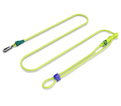 zeedog neopro handsfree leash