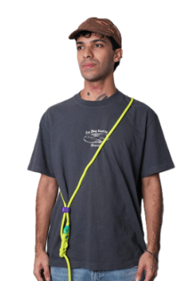 zeedog neopro handsfree leash