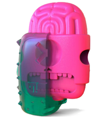 zeedog brain dead