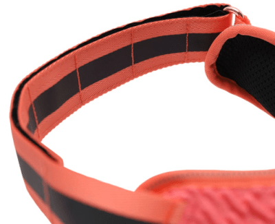 zeedog gazelle flyharness
