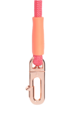 zeedog gazelle handsfree leash