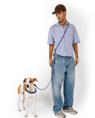 zeedog tokyo handsfree