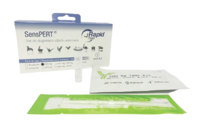 rapid test