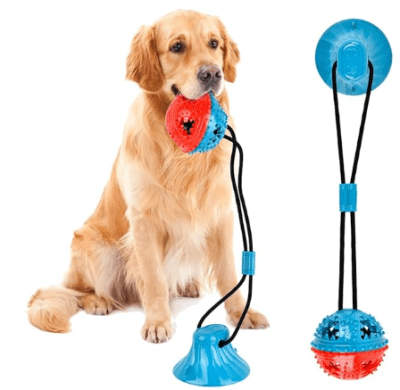 wonder dog pelota con ventosa