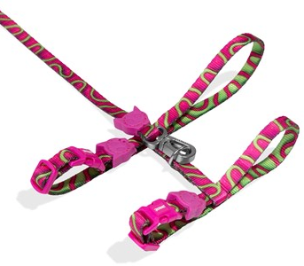 zeecat jelly arnes+leash