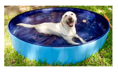 mp piscina para mascotas