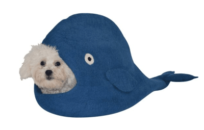 DKarma cueva ballena azul