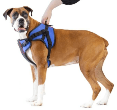 walkinpets arnes combo delantero
