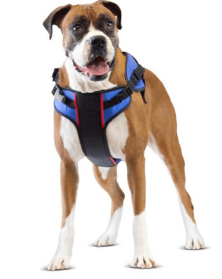 walkinpets arnes combo delantero