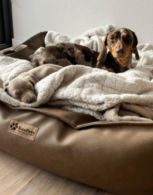 KuaPets cama nido ecocuero