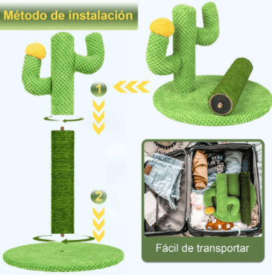 mp cactus rascador