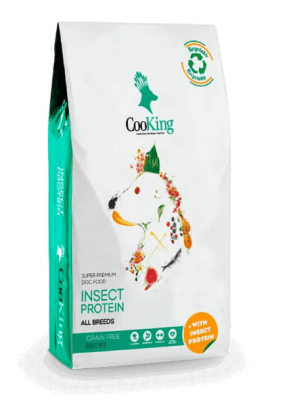 cooking perro insecto