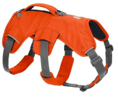 ruffwear web master m