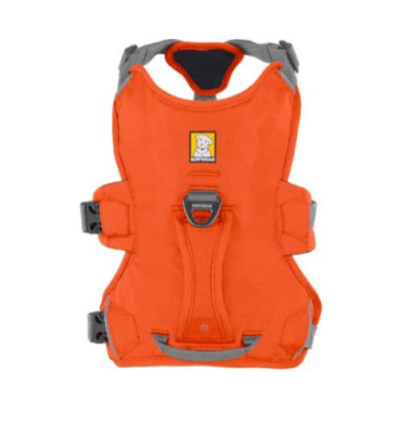 ruffwear web master m