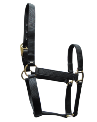 jaquima nylon celtic