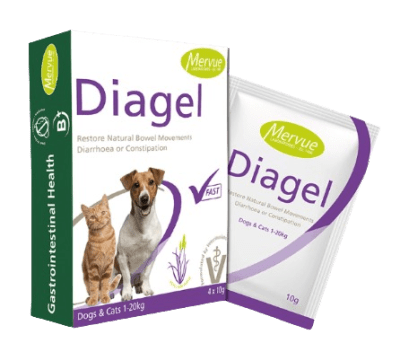 mervue pets diagel dog